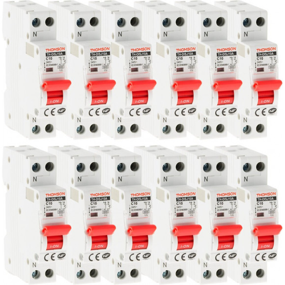 Lot De 12 Disjoncteurs À Vis Ph+n - 10a Nf - Pouvoir De Coupure 4.5ka