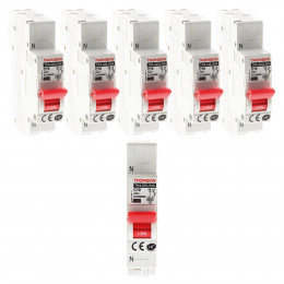 Lot De 6 Disjoncteurs À Connexions Automatiques Ph+n - 10a Nf - Thomson