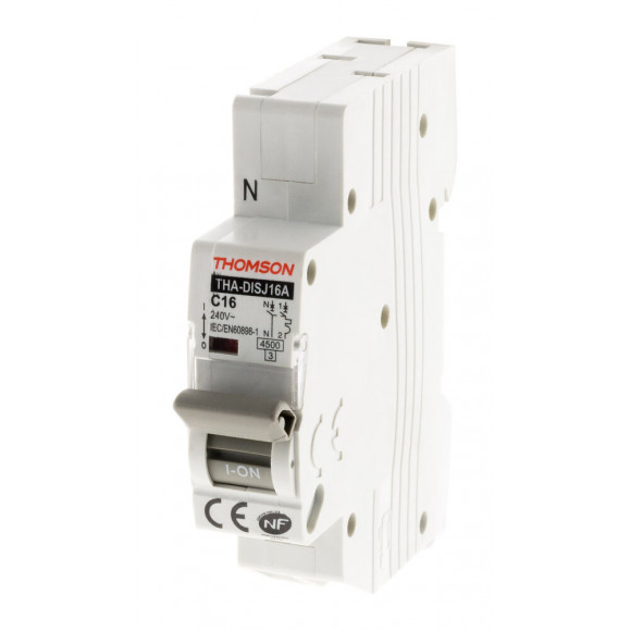 Disjoncteurs À Connexions Automatiques Ph+n - 16a Nf - Thomson