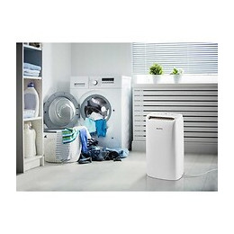 Deshumidificateur - Jusqu'à 20 Litres/jour - Hygrostat Électronique - P Supra - Du202