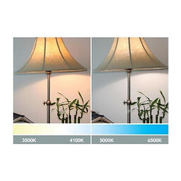 Ampoule Led Gu4 / Mr11 4w 12v - Blanc Froid 6000k - 8000k - Silamp