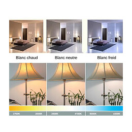 Ampoule E27 Led 25w 220v G140 300° Globe - Blanc Chaud 2300k - 3500k - Silamp