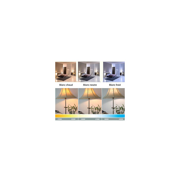 Ampoule E27 Led 25w 220v G140 300° Globe - Blanc Chaud 2300k - 3500k - Silamp