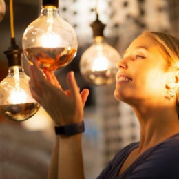 Ampoule E27 Led Filament 4w G95 Reflet Argent - Blanc Chaud 2300k - 3500k - Silamp