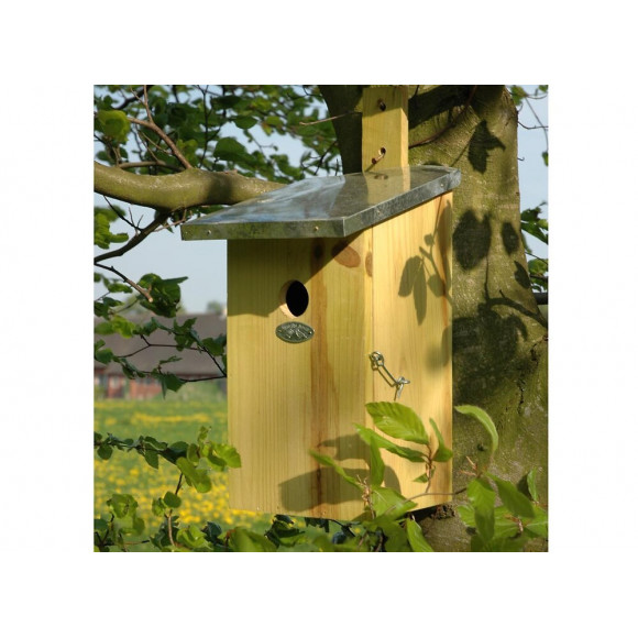 Nichoir Observatoire Pour Oiseaux