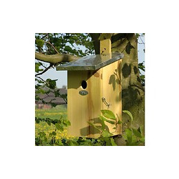 Nichoir Observatoire Pour Oiseaux