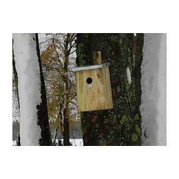 Nichoir À Miroir Pour Oiseaux