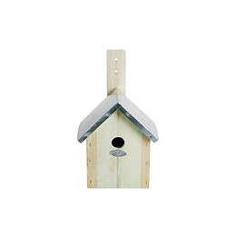 Nichoir Mésange Bleu Pour Oiseaux