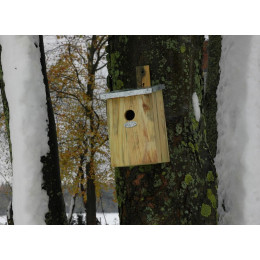 Nichoir À Miroir Pour Oiseaux