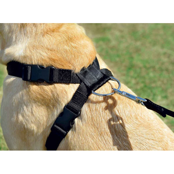 Harnais De Sécurité Voiture Pour Chien - Taille L