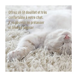 Panier Chat Lit Chat Cosy Grand Confort Dim. Ø 56 X 35h Cm Coussin Moelleux Inclus Pvc Imitation Rotin Beige