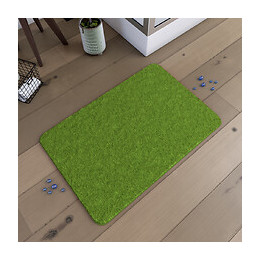 Tapis De Bain 60x90cm Antidérapant Et En Microfibre - Subtil Vert