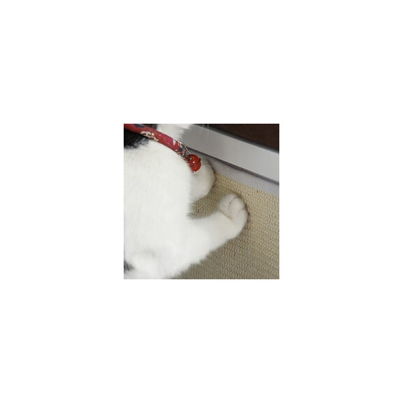 Panier Chat Grattoirs Pouf 3 En 1 - 2 Coussins, 2 Grattoirs Amovibles - Entrée, Sortie Tête De Chat - Mdf Blanc