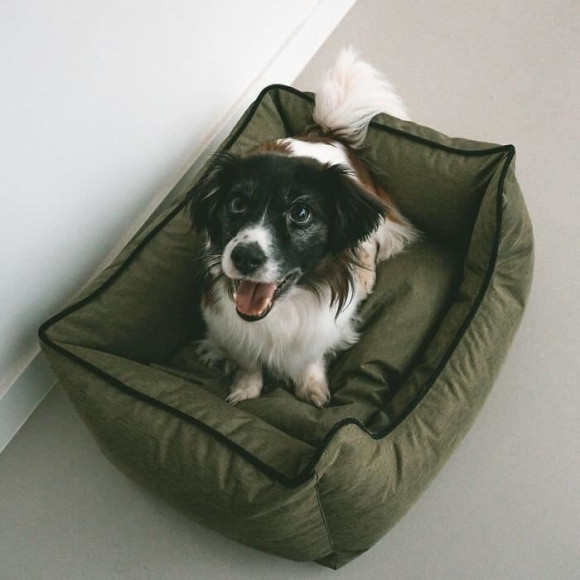 Duvo+ Panier Poly Siesta Olive Vert - 110 X 85 X 26 Cm - 4,113 Kg - Pour Chien