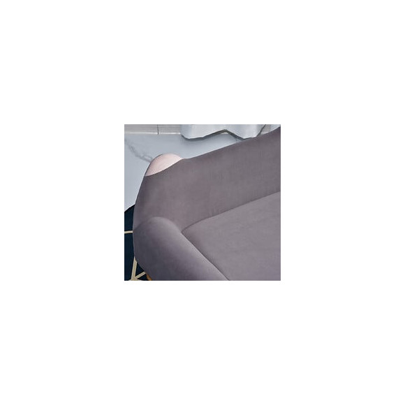 Canapé Chien Lit Pour Chien Design Dossier Oreilles Pieds Bois Massif Dim. 63 X 43 X 31 Cm Velours Gris