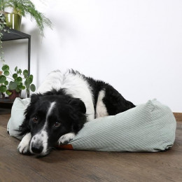 Europet Bernina Sofa Panier Bas Corduroy D+d - Vert - Pour Chien