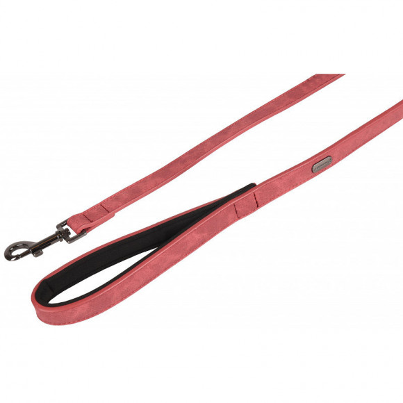 Laisse De 1 Mètre - 25  Mm De Largeur. Delu, Couleur Rouge, Pour Chien. - Flamingo Pet Products - Fl-519289
