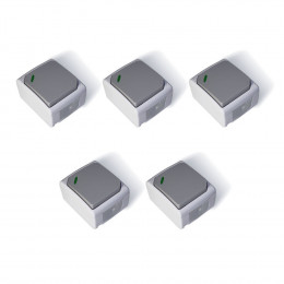 5 Va & Vient Simples À Voyant Gris Clair - Ip54