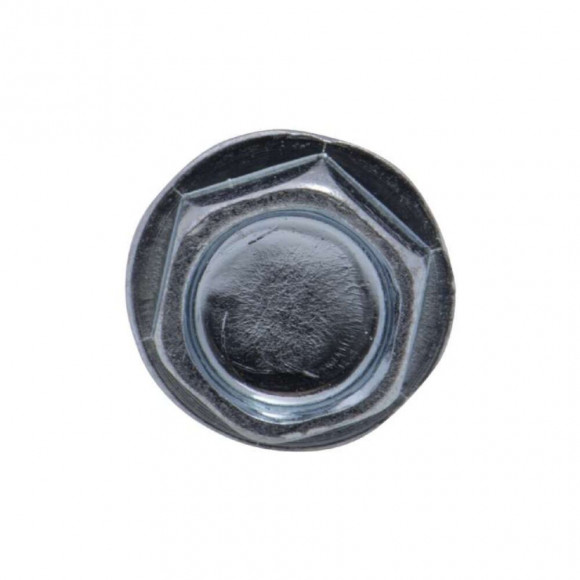 Vis Autoperceuse Tête Hexagonale Zinguée Vissal 5,5 X 38 Mm  Lot De 9 Vis