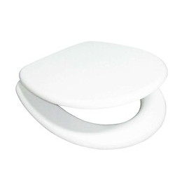 Abattant Wc Blanc Charnières En Zinc