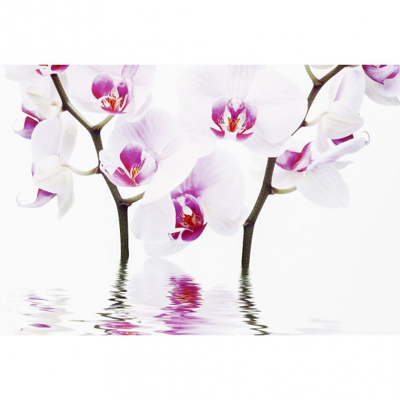 Abattant Wc En Mdf Décor Orchidee