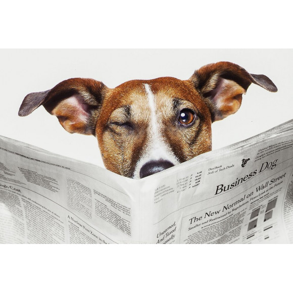 Abattant Wc En Mdf Décor Business Dog