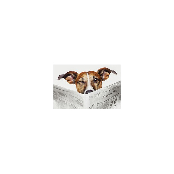 Abattant Wc En Mdf Décor Business Dog