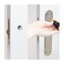 Emuca Poignées Perth De Porte Intérieur, Avec Plaque 42x250 Mm, Aluminium Et Zamak, Nickel Satiné, 1 Set.