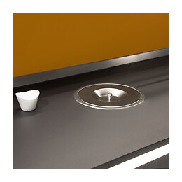 Emuca Poubelle Encastrable Pour Plan De Travail De Cuisine, 6l, Acier Inoxydable Et Plastique