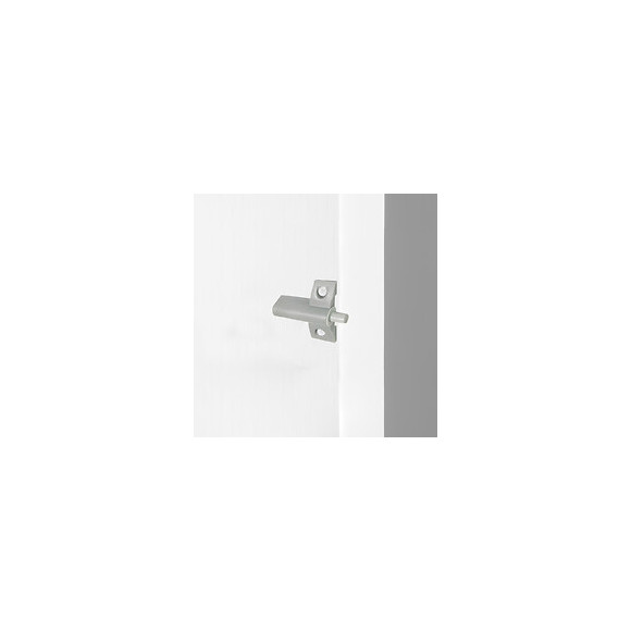 Emuca Piston Amortisseur Pour Porte À Charnières, Fermeture En Douceur, Plastique, Gris, 10 Ut.