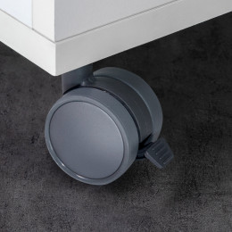 Emuca Roulettes Avec Plétine De Montage, D. 50 Mm, Acier Et Plastique, Gris, 4 Ut.