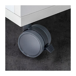 Emuca Roulettes Avec Plétine De Montage, D. 50 Mm, Acier Et Plastique, Gris, 4 Ut.