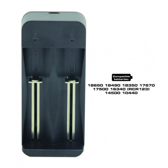 Chargeur Rapide À 2 Canaux Pour Batteries Lithium-ion