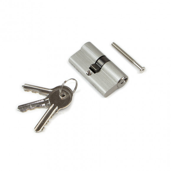 Emuca Cylindre De Serrure Europeen Pour Porte, 30 X 30 Mm, Embrayage Simple, Longue Came, 5 Clés, Aluminium, Nickel Satiné, 5
