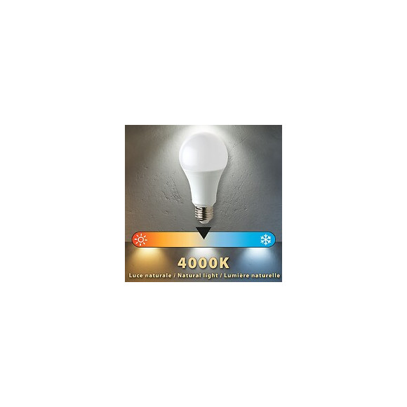 Ampoule Led Smd, Standard A60, 15w / 1520lm, Culot E27, 4000k