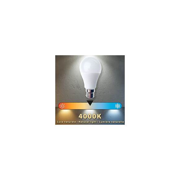 Ampoule Led Smd, Standard A60, 12w / 1055lm, Culot B22 (france), 4000k