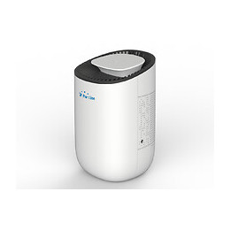 Déshumidificateur Électrique Basse Consommation, Sans Compresseur, Portable, Silencieux Et Filtre À Poussière