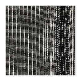 Filet D'échafaudage 50 G/m2  3 X 20m  Werkapro Blanc