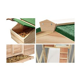 Odette - Poulailler Couleur Bois & Vert