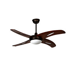 Ventilateur De Plafond 122cm Ac 2xe14 Bois