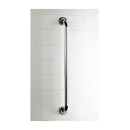 Poignée Pmr Droite Bain Douche En Inox 65 Cm Usis Blanc