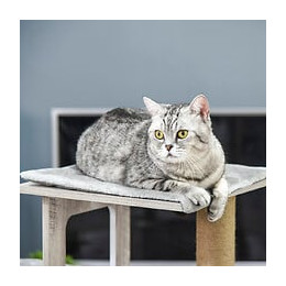 Arbre À Chats Design Contemporain Griffoirs Grattoirs Sisal Naturel Niche Plate-formes 6 Coussins Mdf Bois Gris