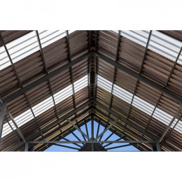 Plaque Type Bac Acier 1045 En Polyester Translucide, L : 105 Cm, L : 200 Cm