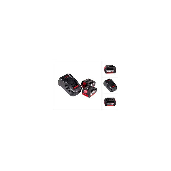 Power Set Bosch (2 X 18v 5,0 Ah Gal1880cv)
