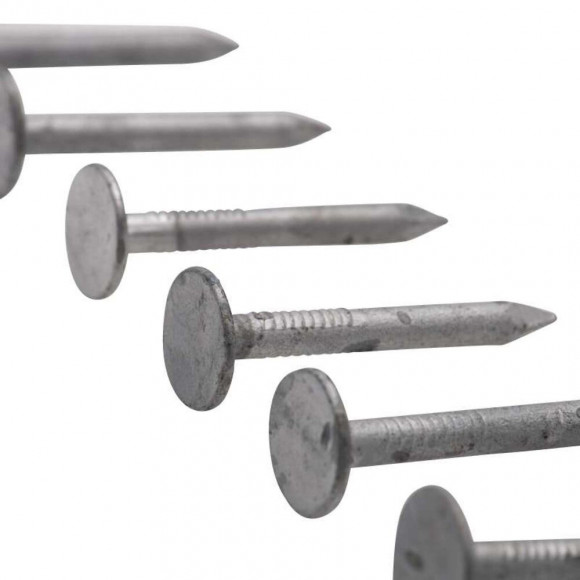 Pointe Acier Galvanisé Vissal Tête Plate 3,0x30 Mm  Boite De 200g