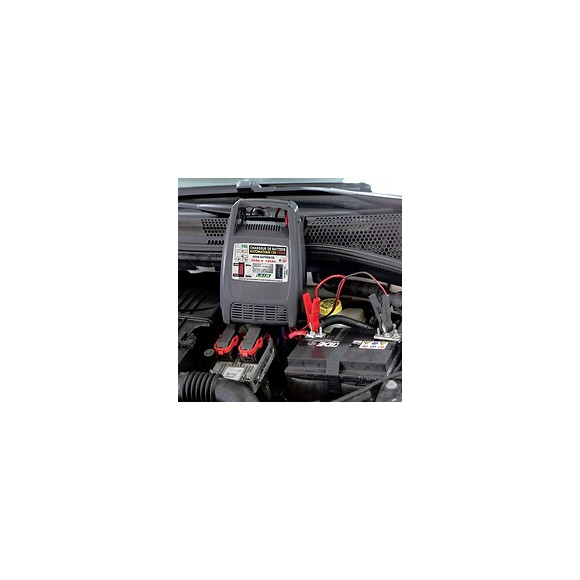 Chargeur De Batterie 120 Ah Automatique