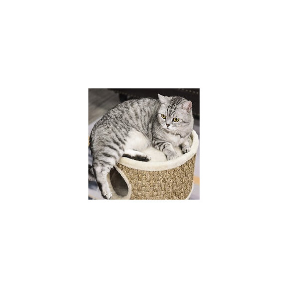Arbre À Chat Cylindrique - Tour À Griffer Pour Chat - Arbre À Chat Tour - Tonneau Griffoir - 3 Niches + Plateforme - Sisal C
