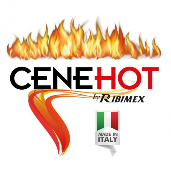 Aspirateur Avaleur De Cendres Chaudes Ou Froides