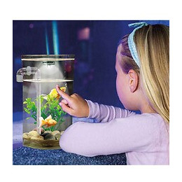 Aquarium Autonettoyant Fish Wonder