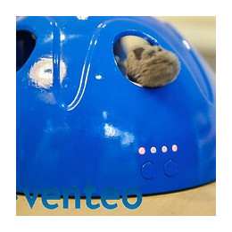 Jeu Attrape Souris Pour Chat